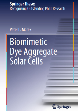 Biomimetic Dye Aggregate Solar Cells